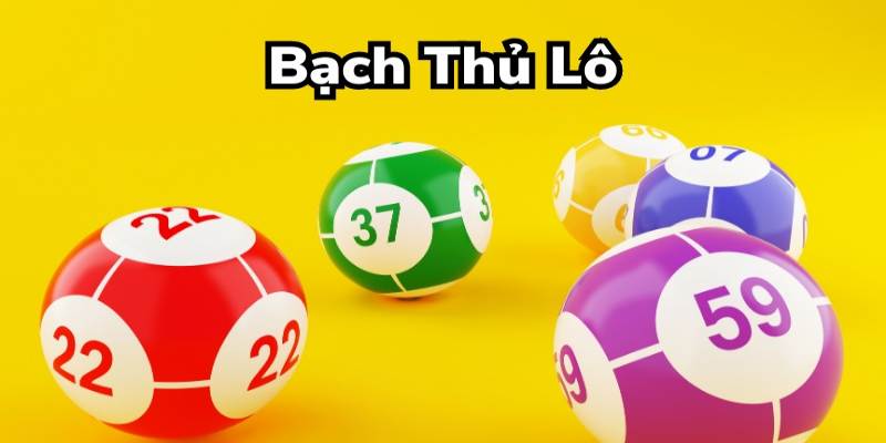 Bạch thủ lô là gì?